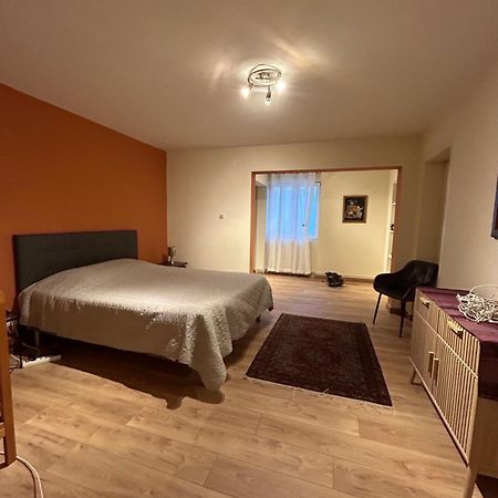 Bel Appartement En Rdc Proche Strasbourg Nice Apartment Very Near 斯特拉斯堡 外观 照片